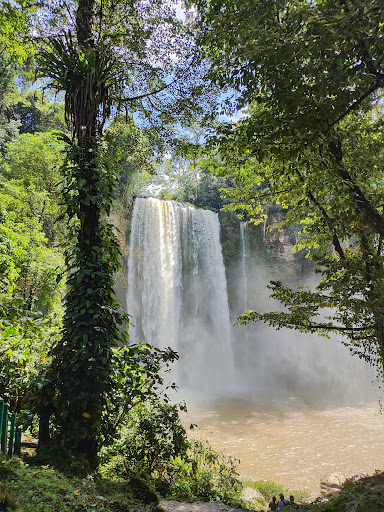 Cascada Misol Ha Logo