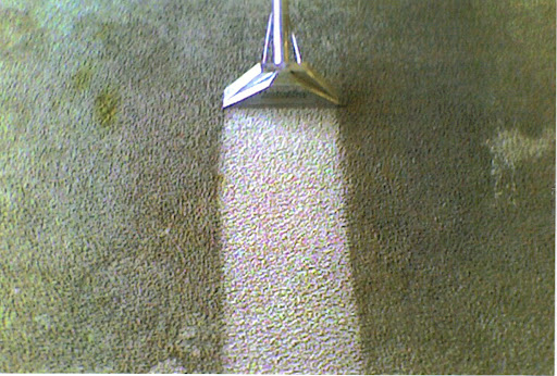React Fast Carpet Cleaning - Visual