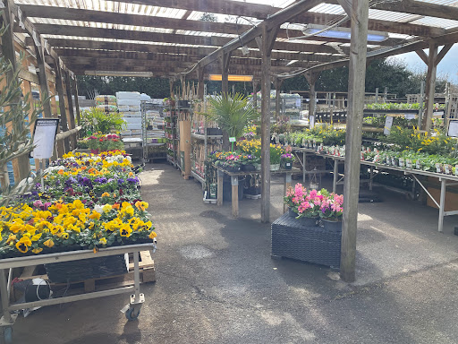 Photo de Boutique Parasol à Honfleur (14600)