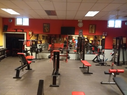 Body Power - Thumbnail