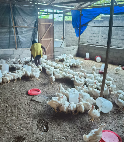 MyFriend & Co. Business