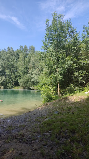 Родничок чистой воды