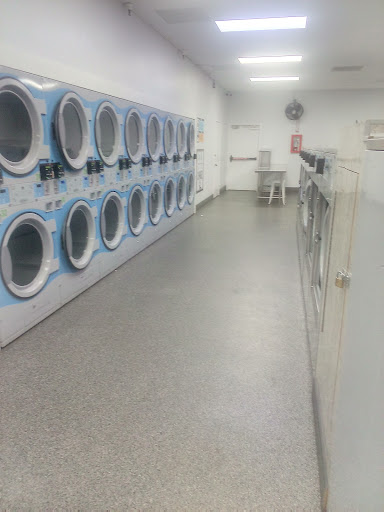 QED Laundry - Visual
