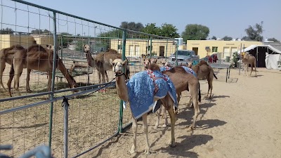 Photos of GC East Park