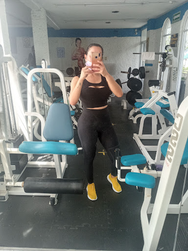 Bifanos GYM - Thumbnail