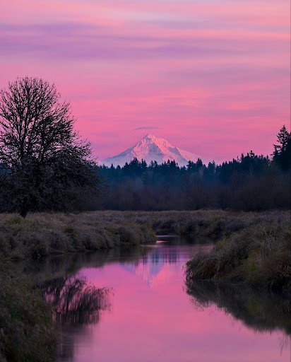 Bonnie Irby- Berkshire Hathaway HomeServices NW Real Estate - Thumbnail