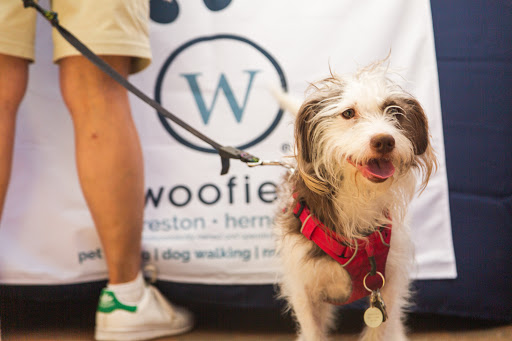 Woofie’s® Reston-Herndon-Sterling - United States