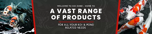 Koi Zone - Visual