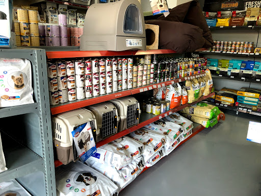 Veterinary clinics Snoopy - Thumbnail