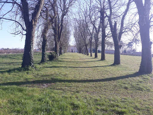 Chateau Lespault Martillac
