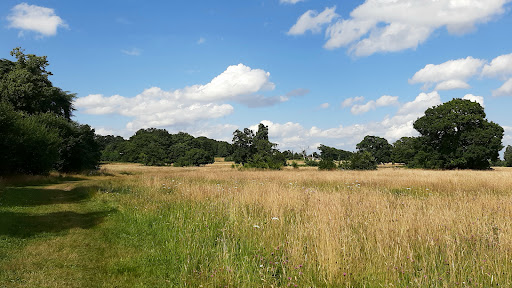 Catton Park - Visual