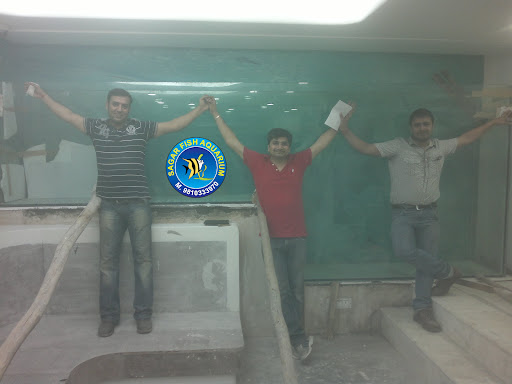 Sagar Fish Aquarium - Thumbnail