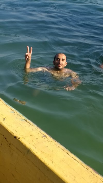 Photos of Nelson's Island