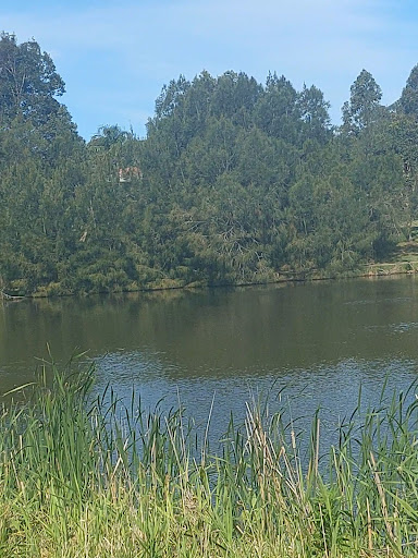 Eucalyptus Circuit Reserve Playground - Thumbnail