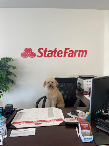 Brian Limbaugh - State Farm Insurance Agent - Thumbnail