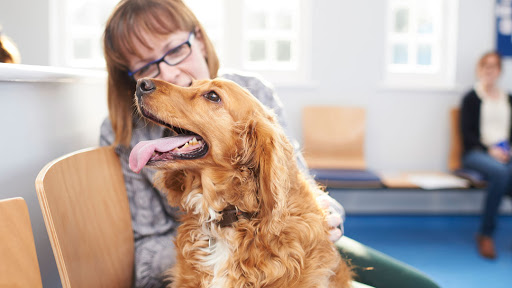 The Veterinary Hospital - Gorleston - Thumbnail