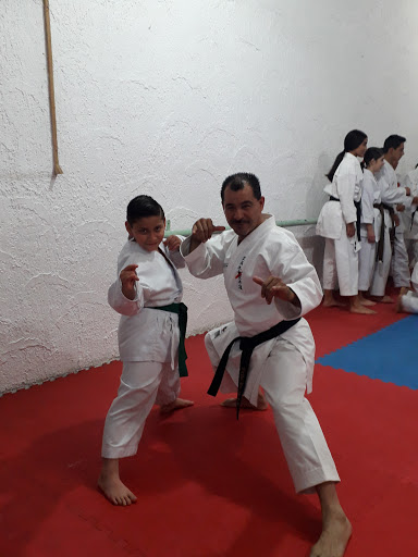 Karate - Visual