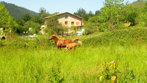 Arla-Berrón