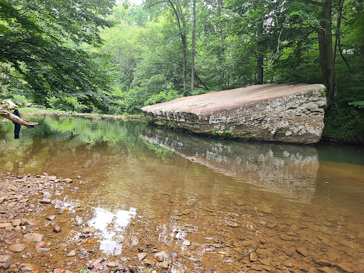 Bell Smith Springs Scenic Area - Thumbnail