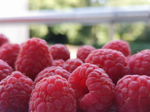 Euro Food GmbH - Thumbnail