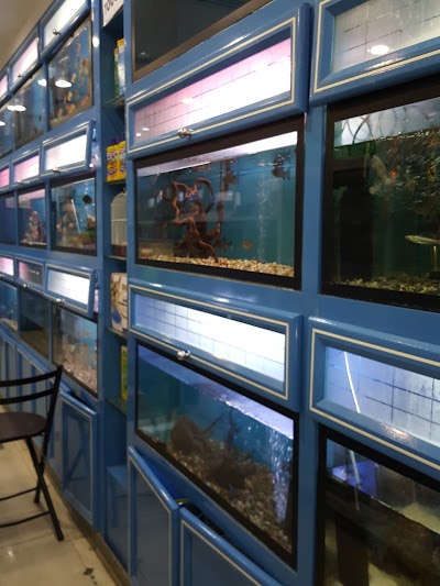 Photos of Aquarium Lives Centre