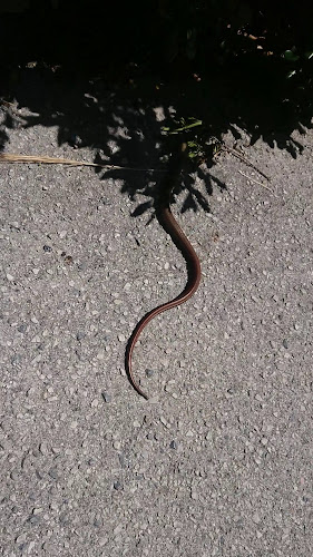 Κέντρο Υγείας Αιγινίου - Αιγίνιο