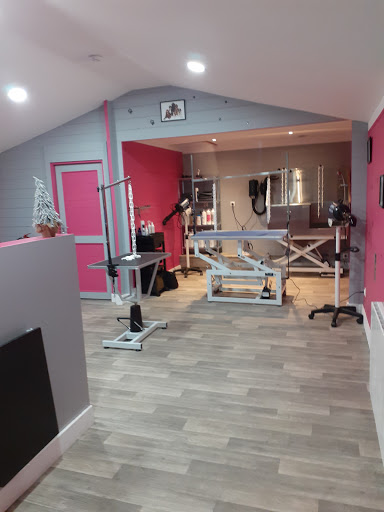 Salon de toilettage Bel K'Ouaf