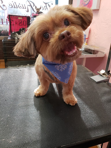The Rustic Pup - Visual