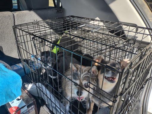 Central Valley Veterinary Clinic