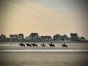 Photo n°13 de Centre Équestre de Blonville-sur-Mer à Blonville-sur-Mer (Écurie)