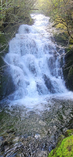 Ketchitour - Visual