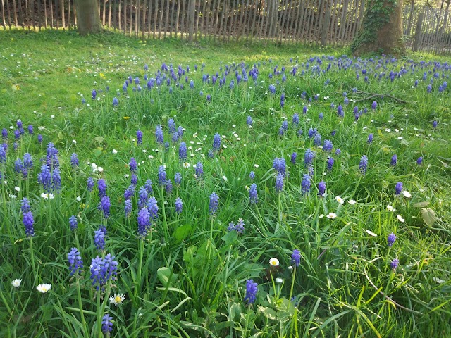 Parc Edmond de Rothschild