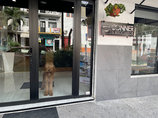 Donner & Associates (Main Office) - Thumbnail