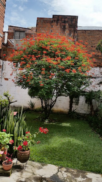 Photos of La Matea Park