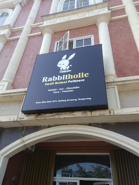 Rabbit Holic, Author: mel melyansyah