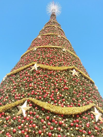 Photos of Plaza del Obelisco