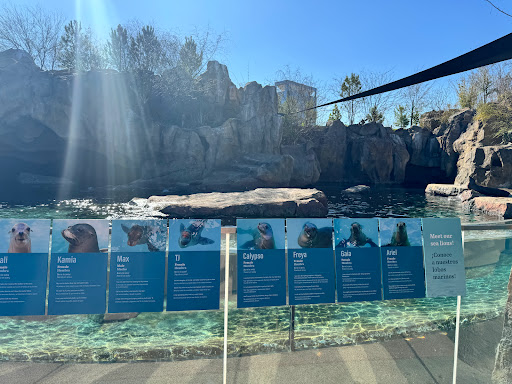 Zoo Store - Visual