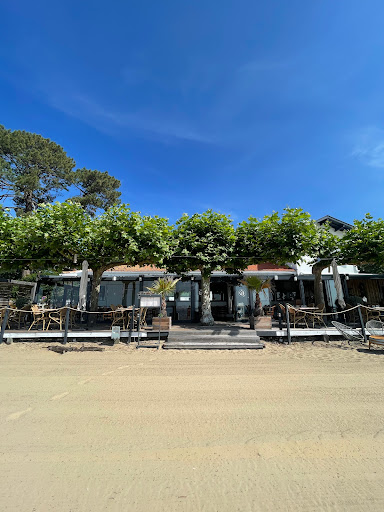 Le Bô Site restaurant cazaux - Thumbnail