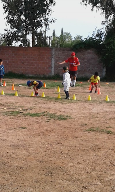 Photos of Gimnasio El Carmen