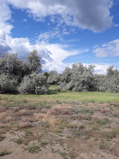 Yakima Delta Habitat Management Unit Lake Wallula