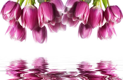 Susan M. Richman, LCPC, NCC, MBA