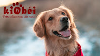 Kiobéi Educateur canin à Poissy