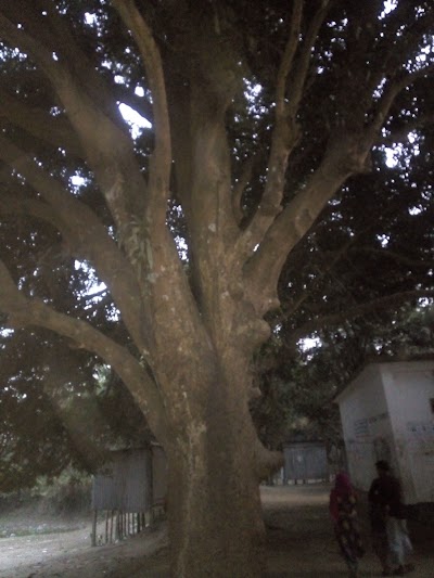 Photos of Goalpara Jame Mosque