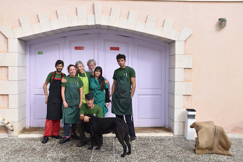 Comentarii opinii despre Koronekes Olive Mill