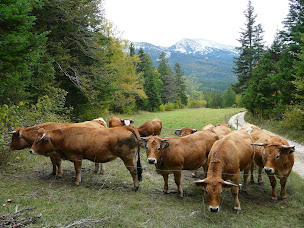 Photo n°17 de Les Petites Maisons de Corrençon en Vercors- Gites Famille Bec à Corrençon-en-Vercors (Station de ski)
