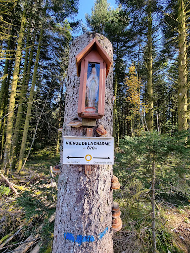 Vierge de la Charme sur son tronc - Thumbnail