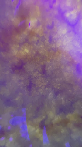 Music On the Rocks by null