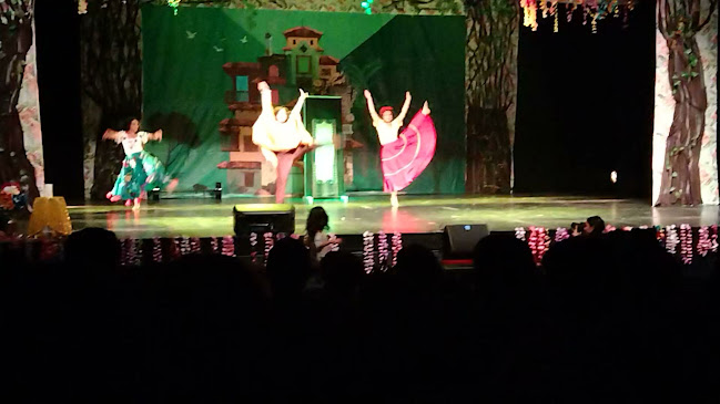 Opiniones de Teatro Municipal - la Pintana en La Pintana - Agencia de seguros