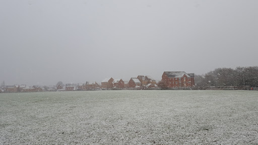 Thorpe Astley Parkland - Thumbnail