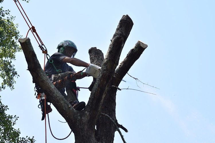Graves Arboriculture